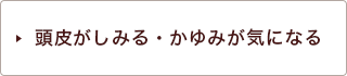 頭皮がしみる・かゆみが気になる